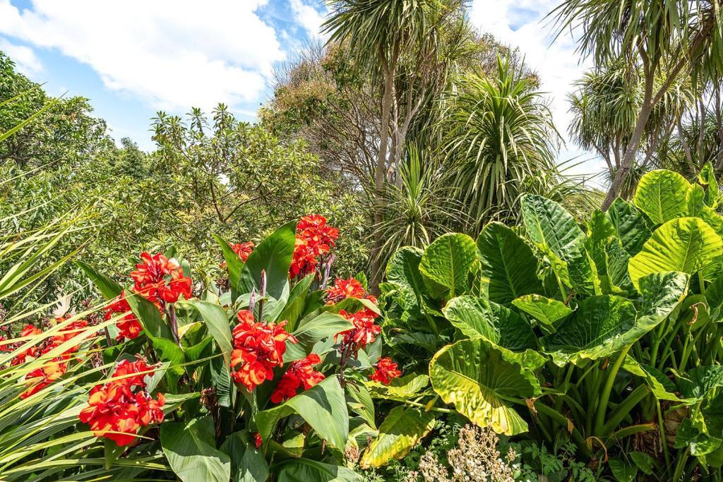Oneroa Bay Villa Waiheke ภายนอก รูปภาพ