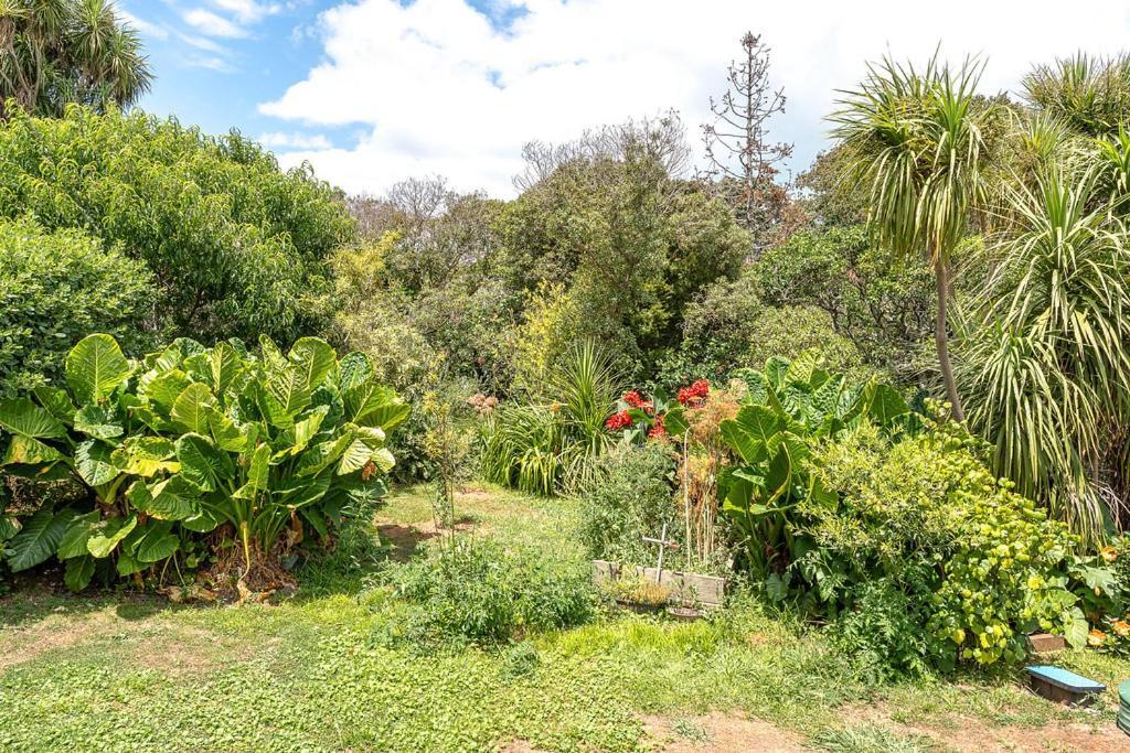 Oneroa Bay Villa Waiheke ภายนอก รูปภาพ